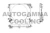 AUTOGAMMA 102607 Condenser, air conditioning